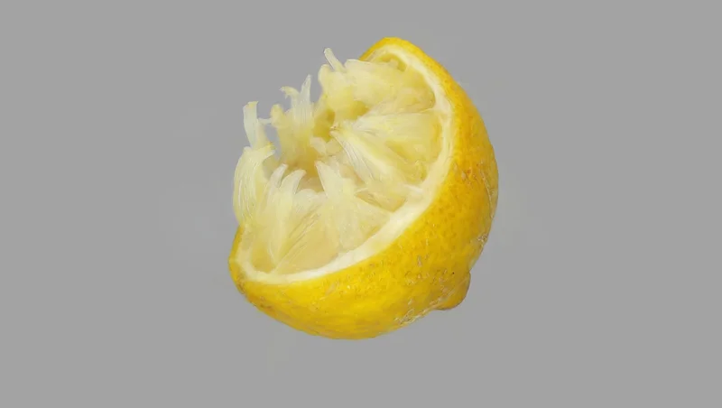 MEIKO 3D-Modelle mit Gaussian Splatting